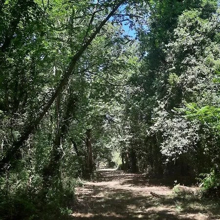 La Touche Martin Camping Allards