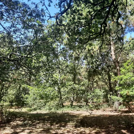 La Touche Martin Camping Allards