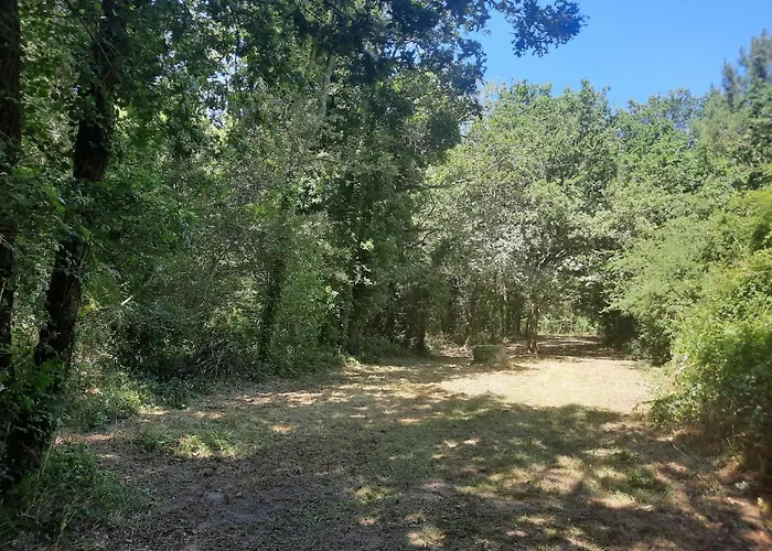 营地 La Touche Martin