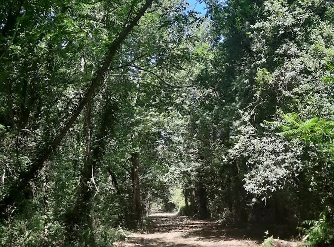 La Touche Martin 营地 Allards