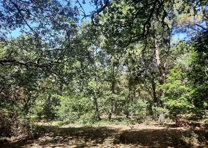 La Touche Martin 营地 Allards